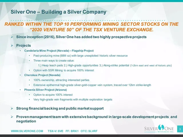 Company overview slide 3 from Silver One Resources