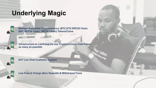 Technology slide 6 from Skye Wallet