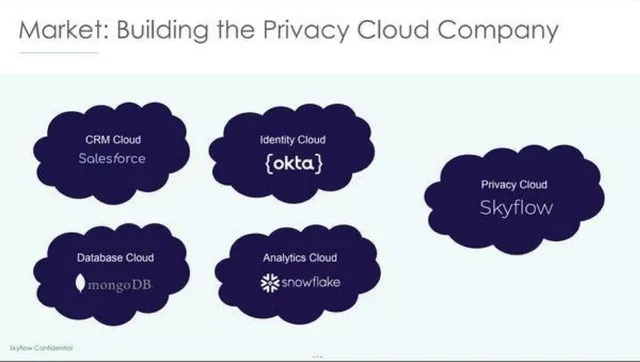 Market analysis / overview slide 6 from Skyflow