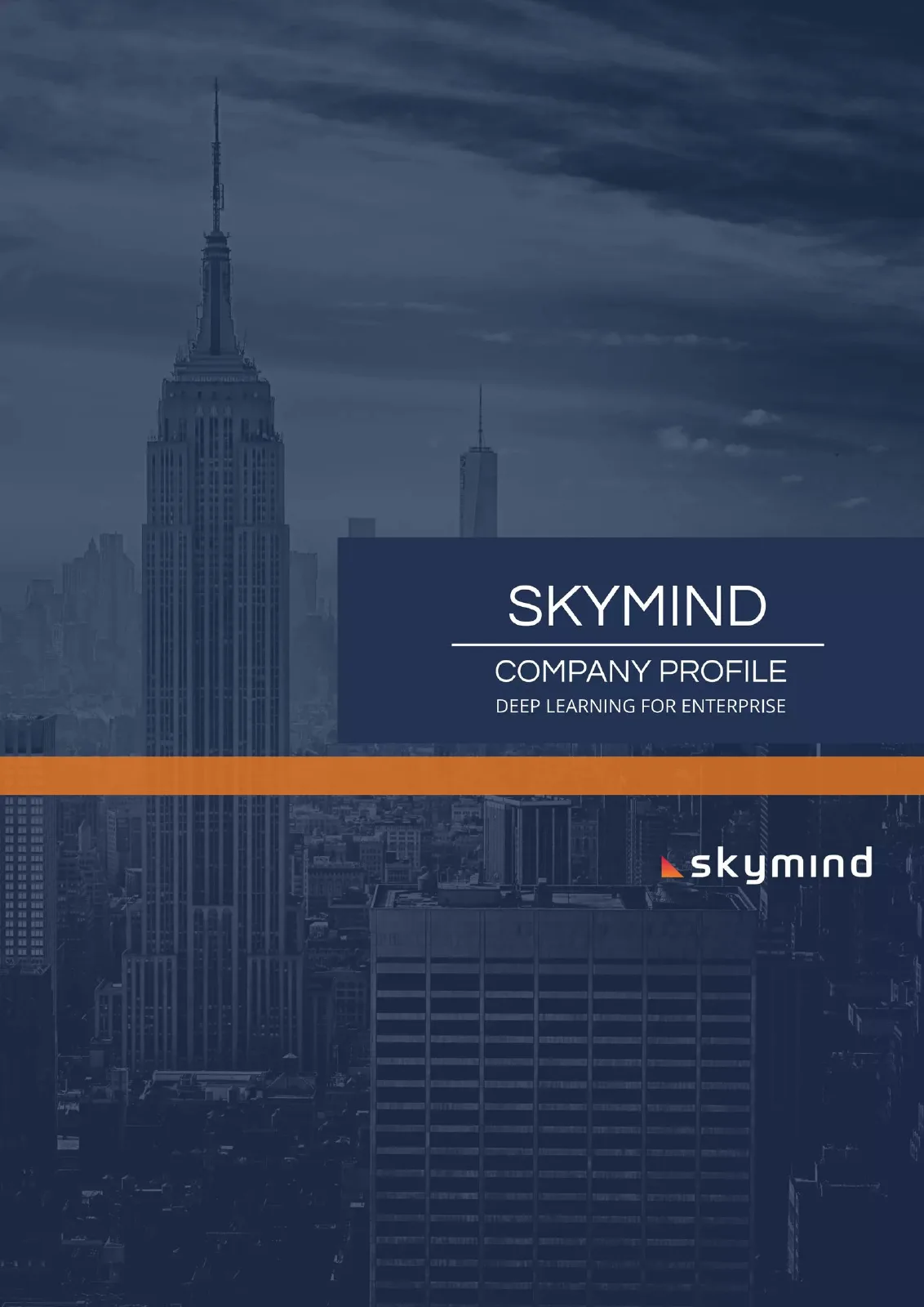 Skymind pitch deck slide
