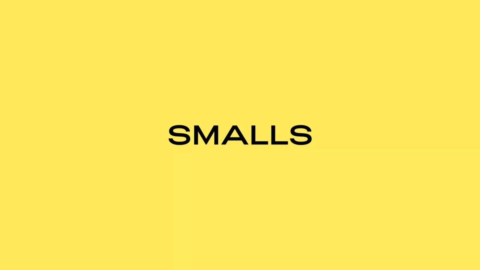 Smalls pitch deck slide