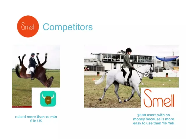Competitors slide 6 from Smell