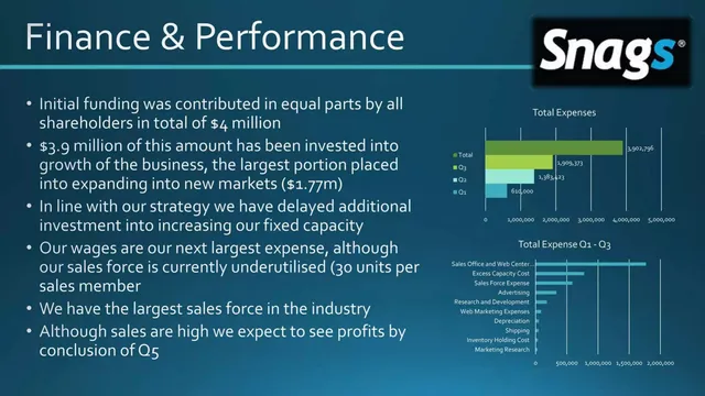 Financials slide 6 from Snags Technology