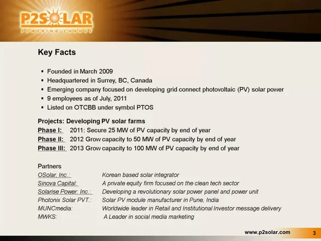 Company overview slide 3 from P2 Solar