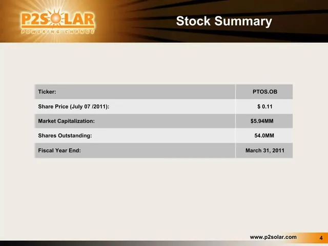 Company overview slide 4 from P2 Solar