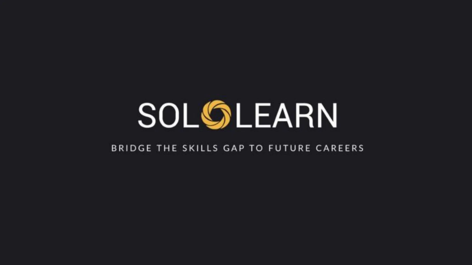 Sololearn pitch deck slide