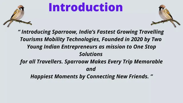 Company overview slide 2 from Sparroow