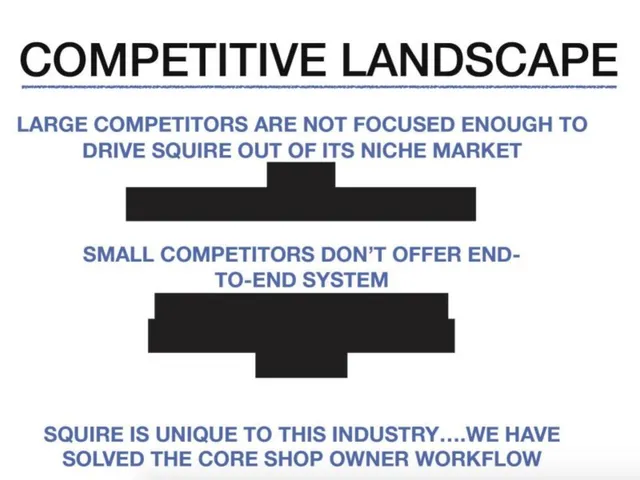 Competitors slide 12 from Squire