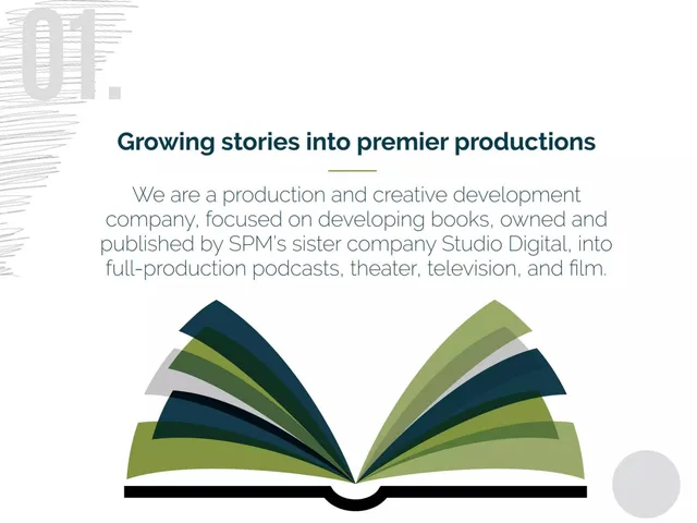 Company overview slide 2 from Story Plant Media