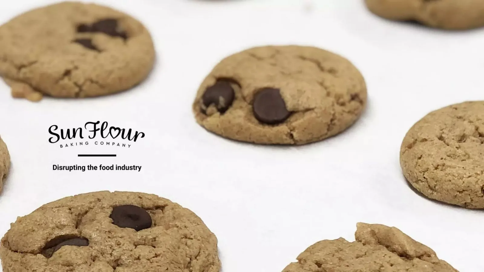 Sun Flour Baking Company pitch deck slide