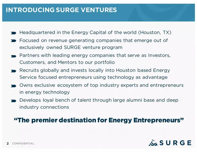 Company overview slide 2 from SURGE Ventures