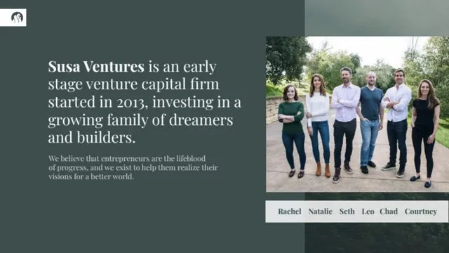 Company overview slide 2 from Susa Ventures