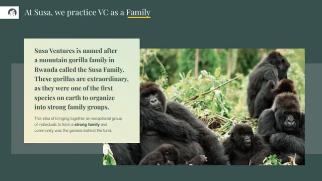 Company overview slide 3 from Susa Ventures