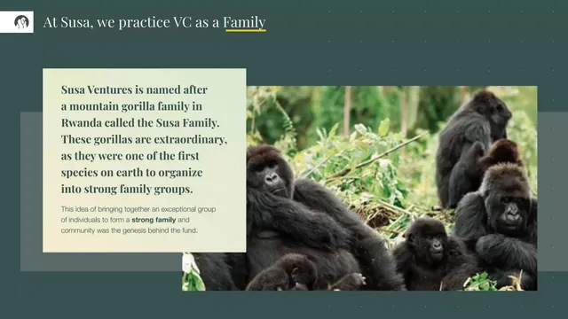 Company overview slide 3 from Susa Ventures