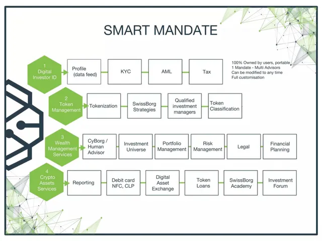 Product / solution slide 4 from Swissborg
