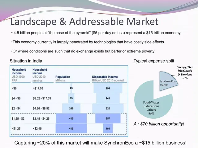 Market sizing / opportunity slide 3 from SynchronEco