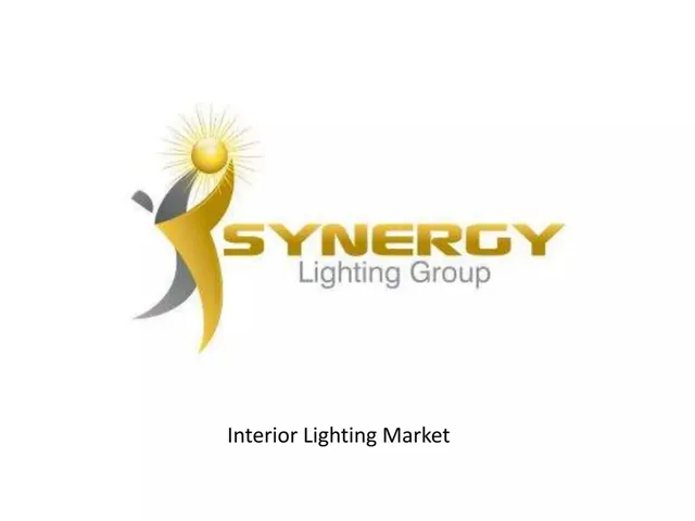 Section divider slide 3 from Synergy Lighting Group