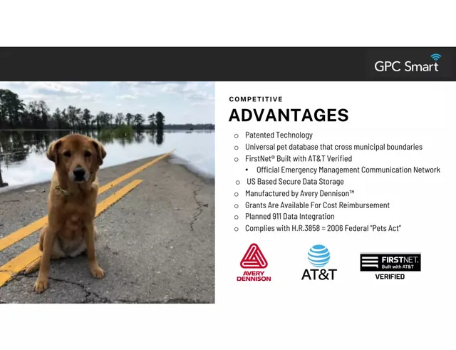 Competitors slide 5 from Syneroid Technologies Corp. (GPC Smart)