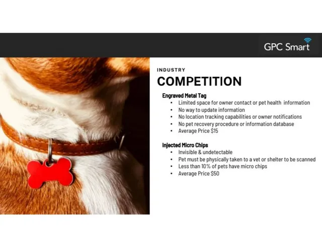 Competitors slide 3 from Syneroid Technologies