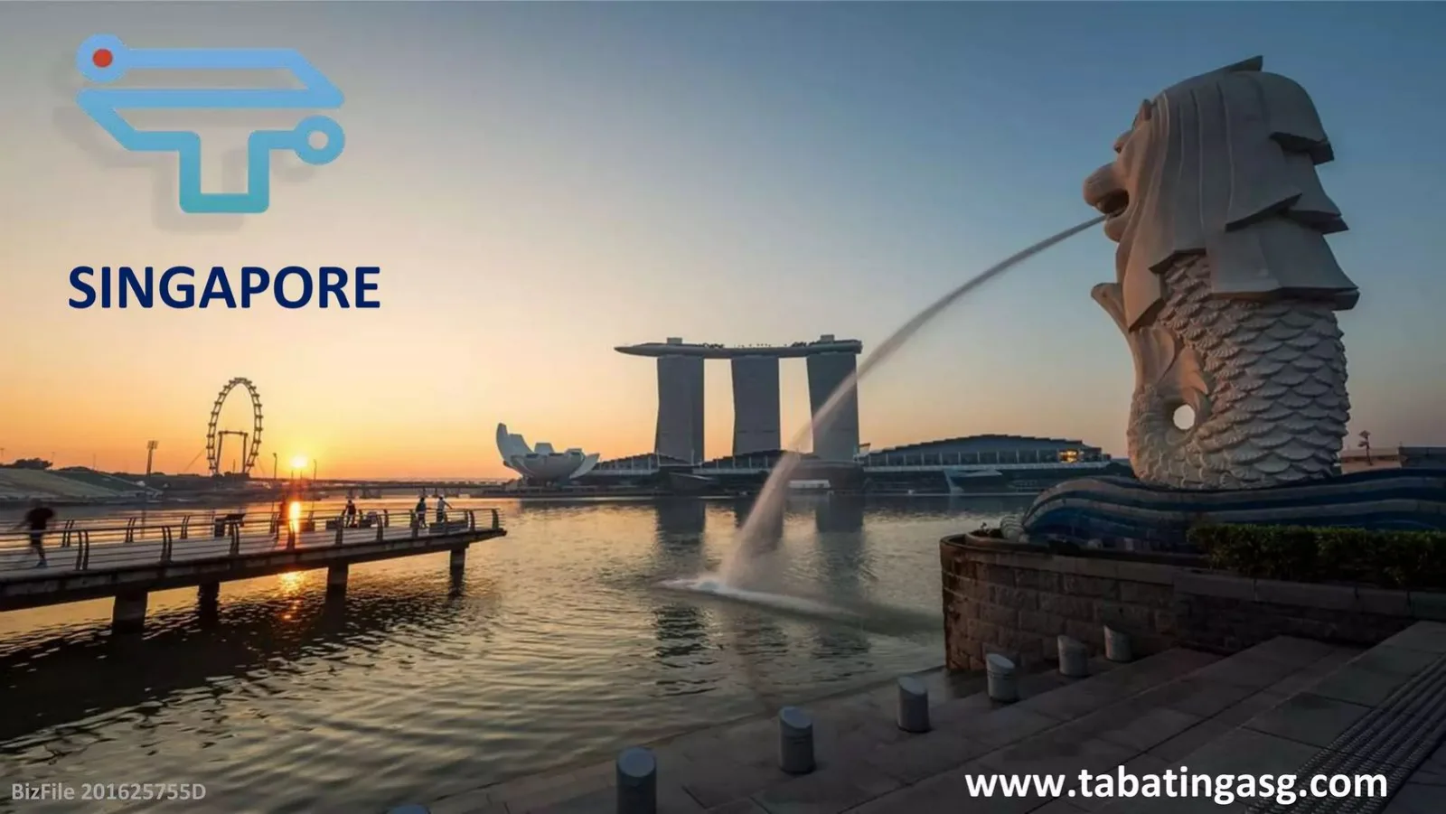 TABATINGA PTE LTD pitch deck slide