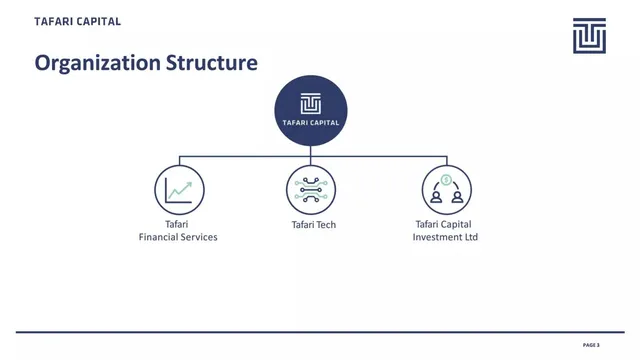 Company overview slide 3 from Tafari Capital
