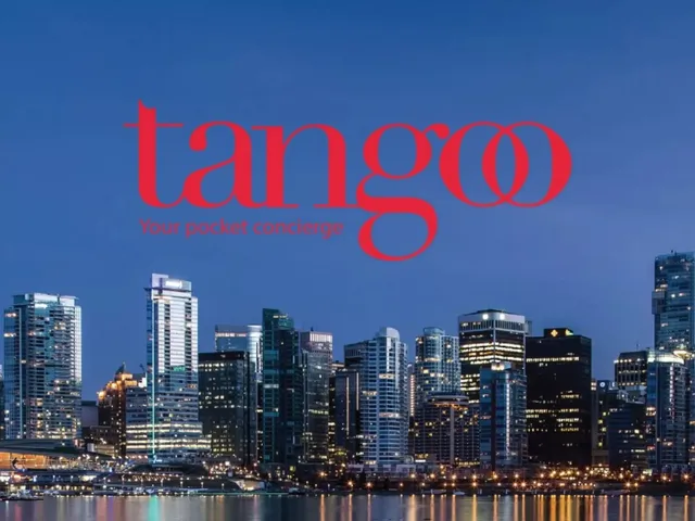 Tangoo pitch deck cover