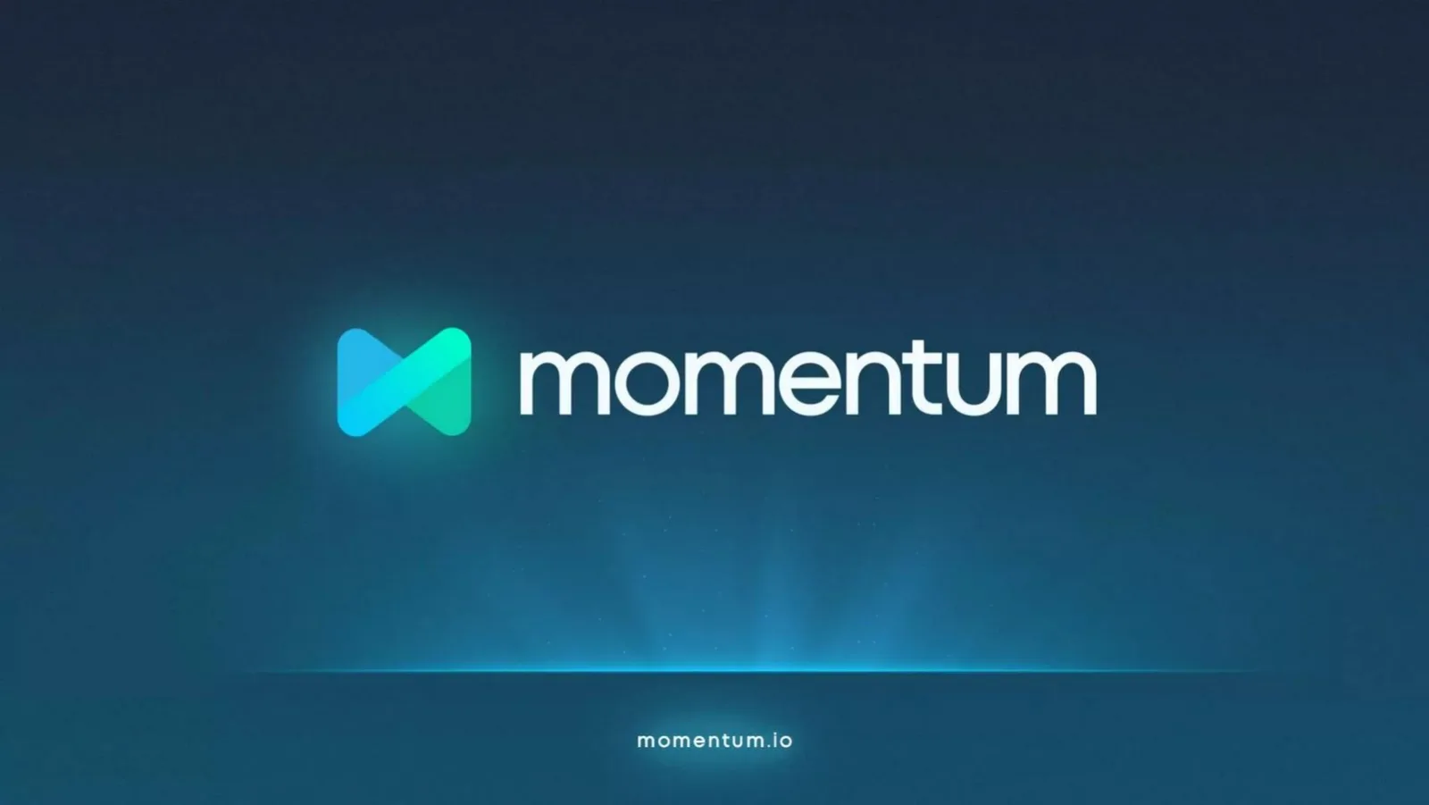 TC Momentum pitch deck slide