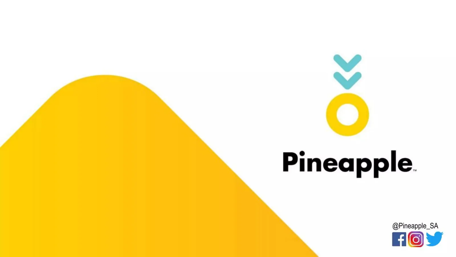 Pineapple pitch deck slide