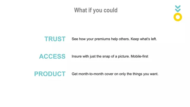 Product / solution slide 4 from Pineapple
