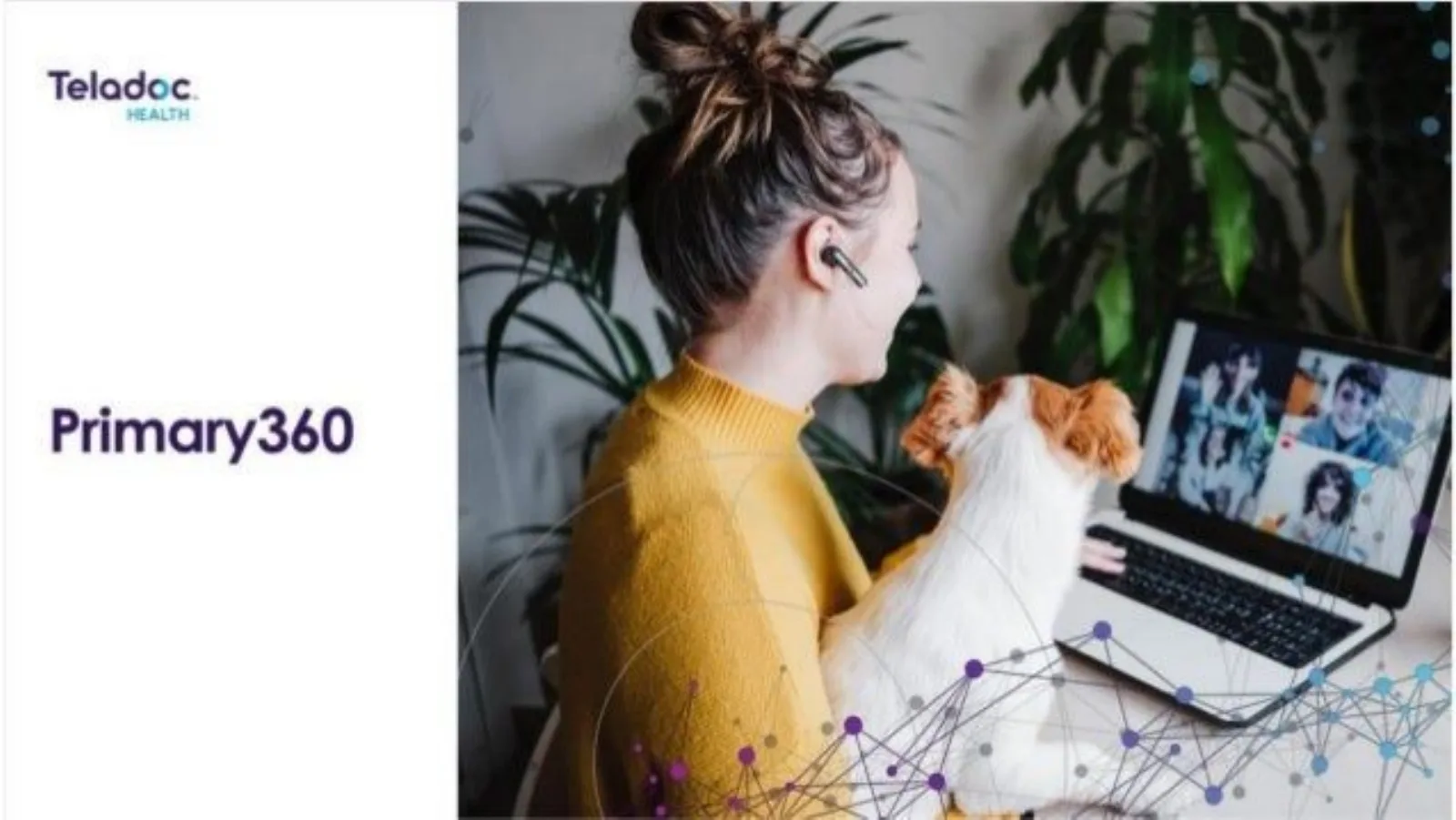 Teladoc pitch deck slide