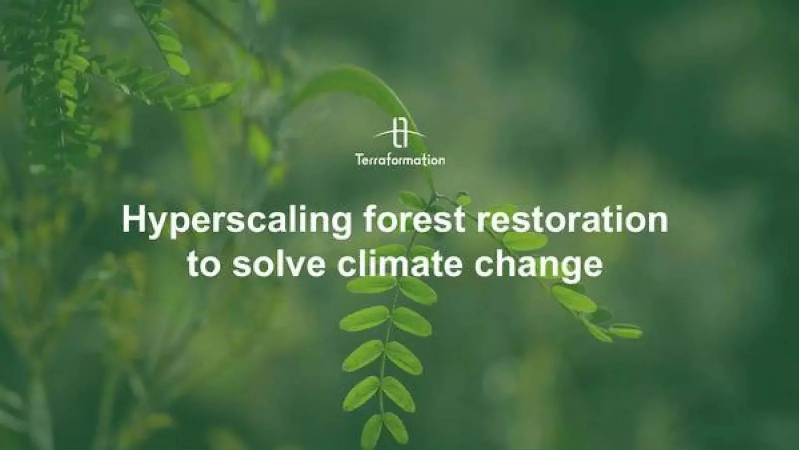 Terraformation pitch deck slide
