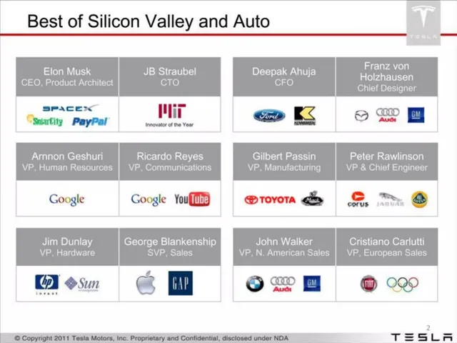 Team slide 2 from Tesla