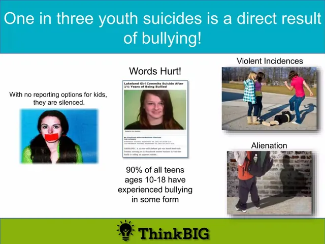 Problem slide 2 from The Bully Tracker
