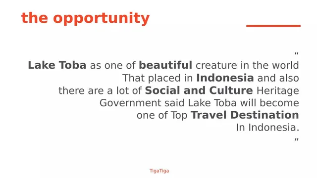 Market analysis / overview slide 2 from TigaTiga