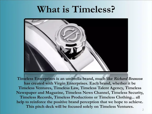 Company overview slide 2 from Timeless Ventures