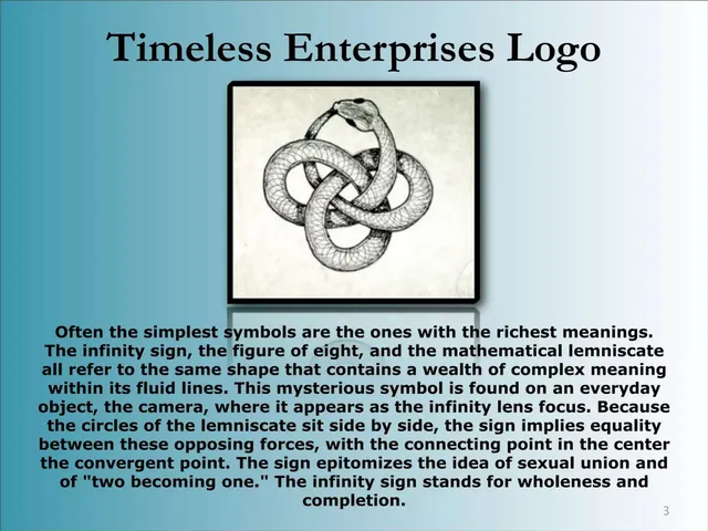 Other slide 3 from Timeless Ventures