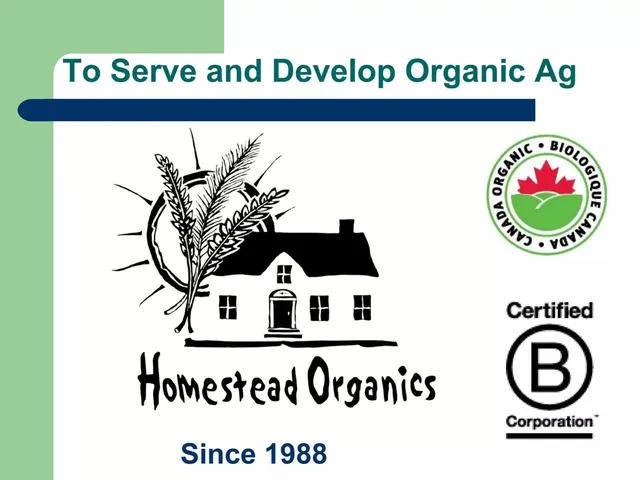 Homestead Organics pitch deck cover