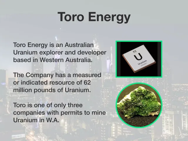 Company overview slide 2 from Toro Energy
