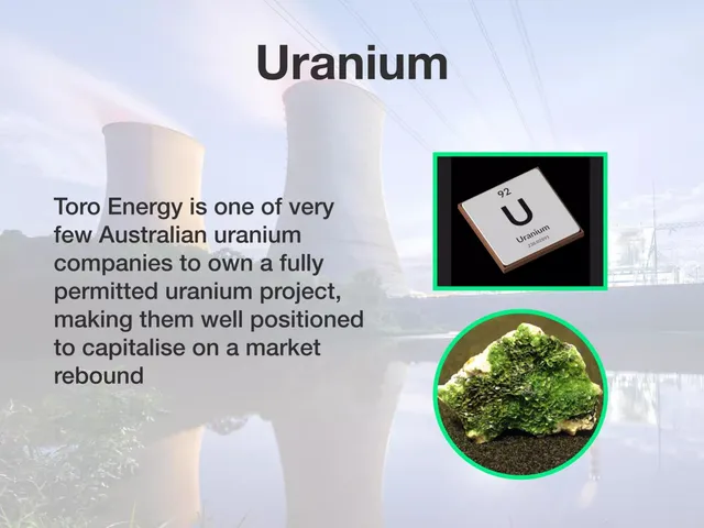 Company overview slide 5 from Toro Energy