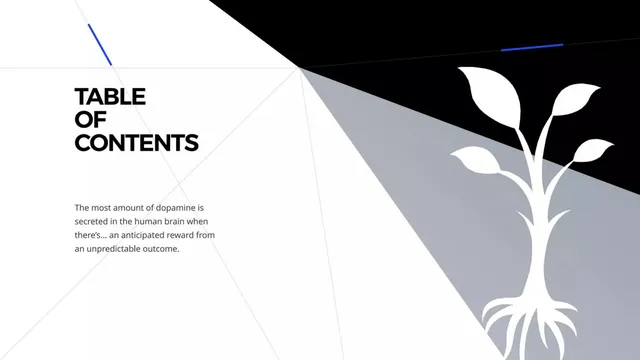 Agenda / contents slide 2 from Treever