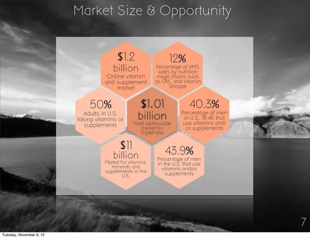 Market sizing / opportunity slide 6 from TriplePulse