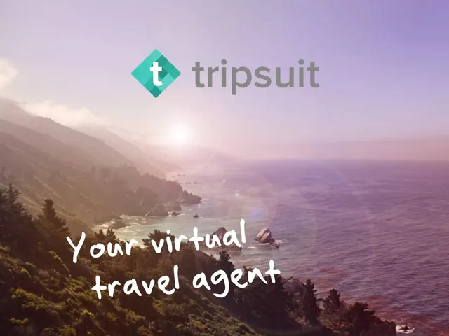 tripsuit pitch deck cover