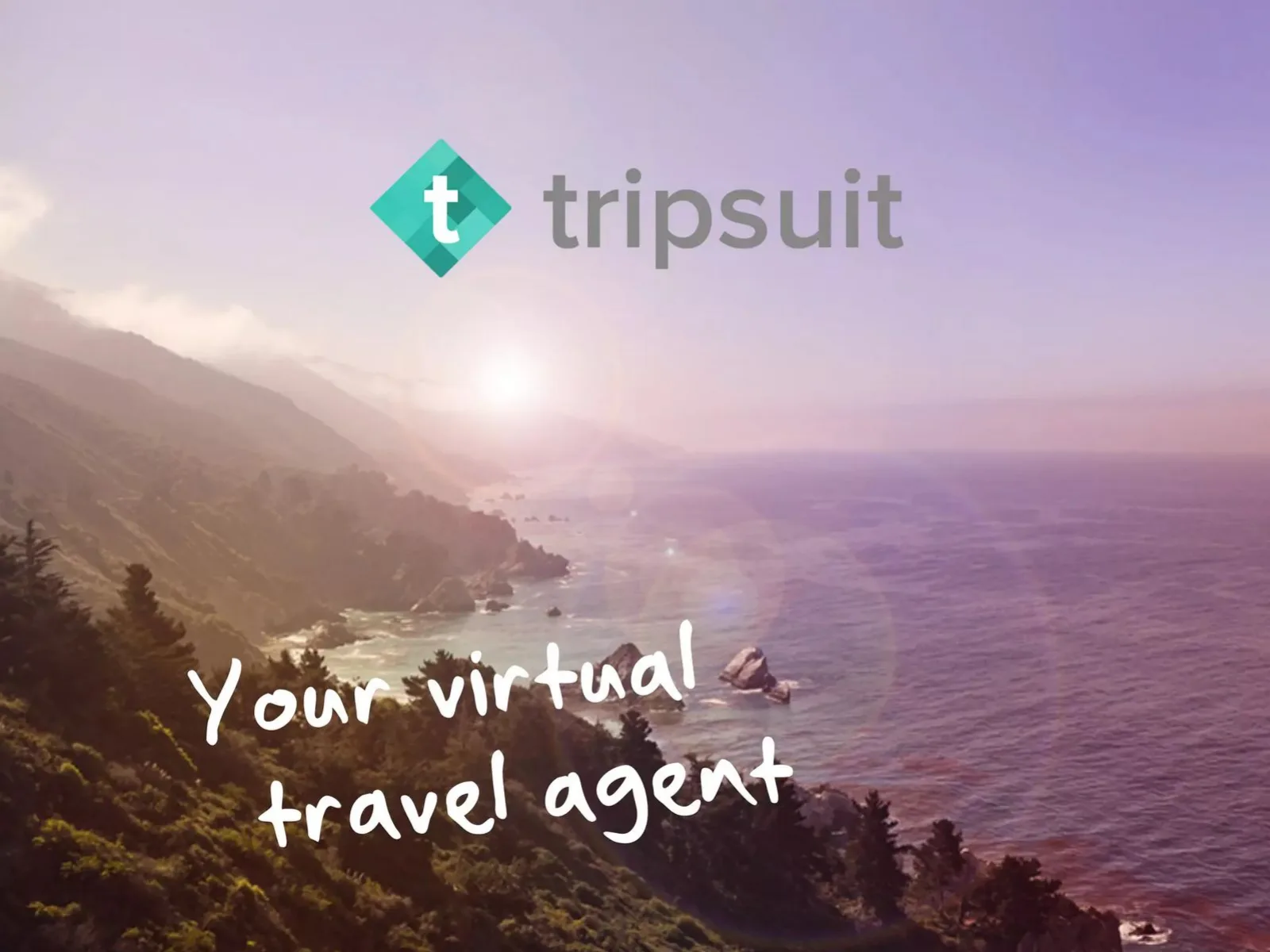 tripsuit pitch deck slide