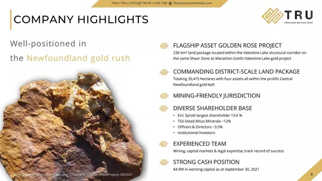 Company overview slide 3 from TRU Precious Metals Corp.