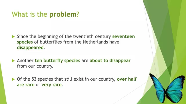 Problem slide 2 from Tuinleren