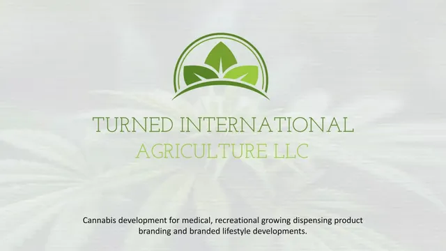 Turned International Agriculture LLC pitch deck cover