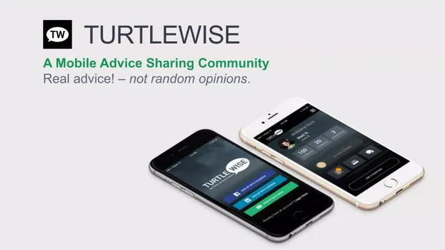 TurtleWise pitch deck cover