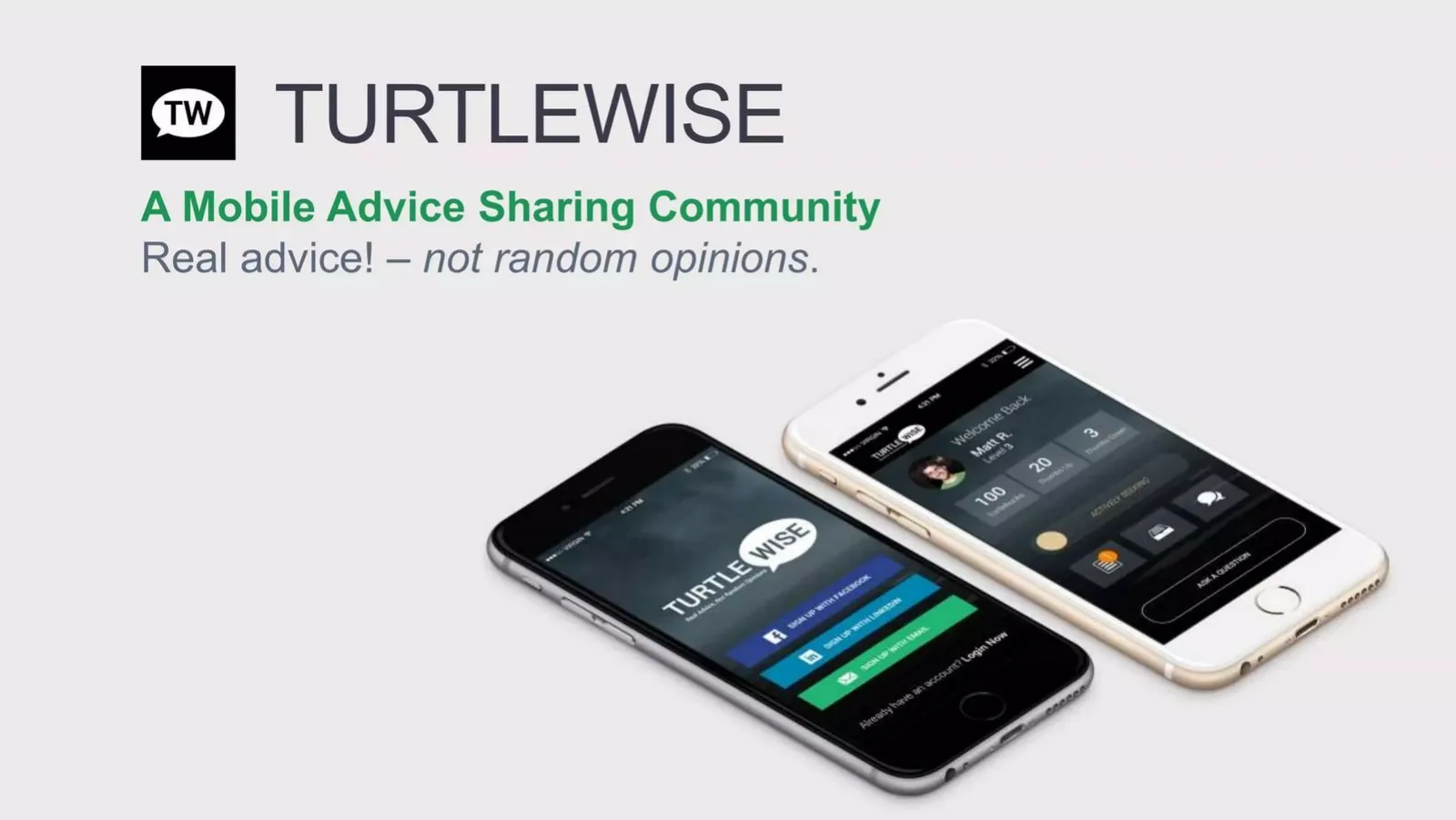 TurtleWise pitch deck slide