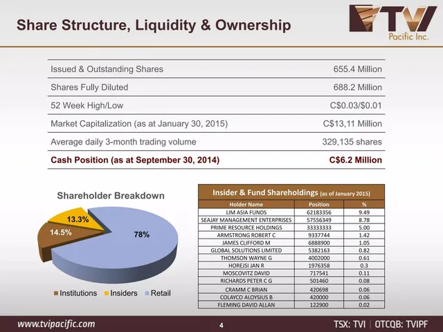 Company overview slide 4 from TVI Pacific Inc.