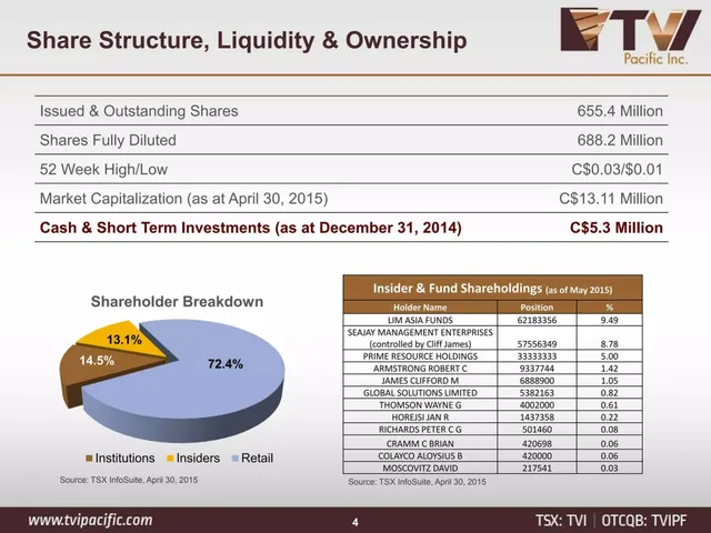 Company overview slide 4 from TVI Pacific Inc.